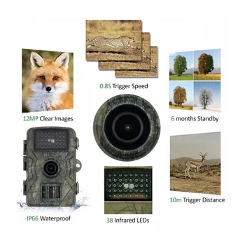 Камера для отслеживания животных с функцией ночного видения IP66для разведки животных Движение 12 МП 1080P